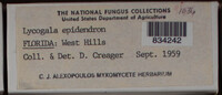 Image Associated With the Occurence